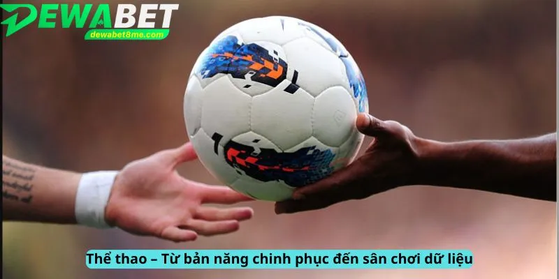 Thể thao từ bản năng chinh phục