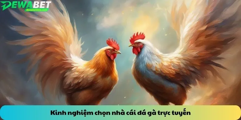 Kinh nghiệm chọn nhà cái đá gà trực tuyến