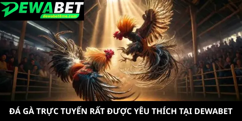 Đá gà trực tuyến rất được yêu thích tại DEWABET
