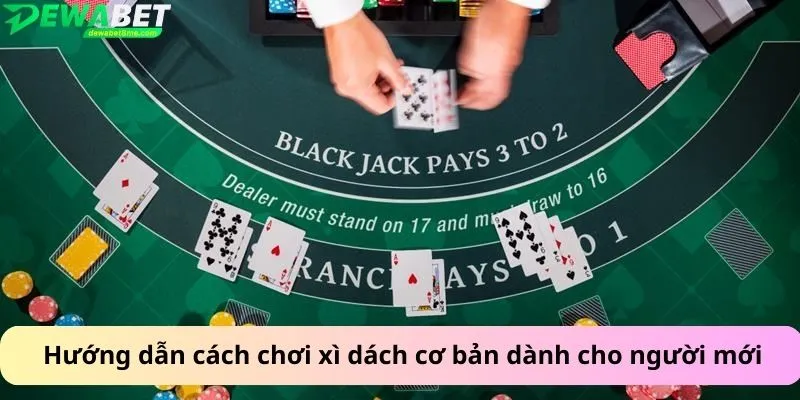 Hướng dẫn cách chơi xì dách cơ bản dành cho người mới